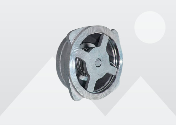 spirax-disc-check-valve